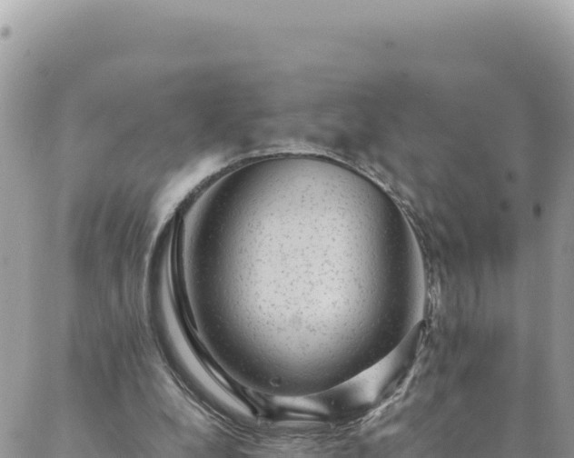 X0000088600248200706011210