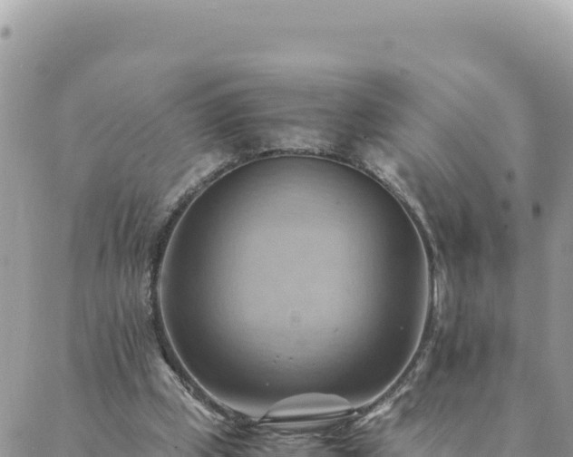 X0000088600249200706011210