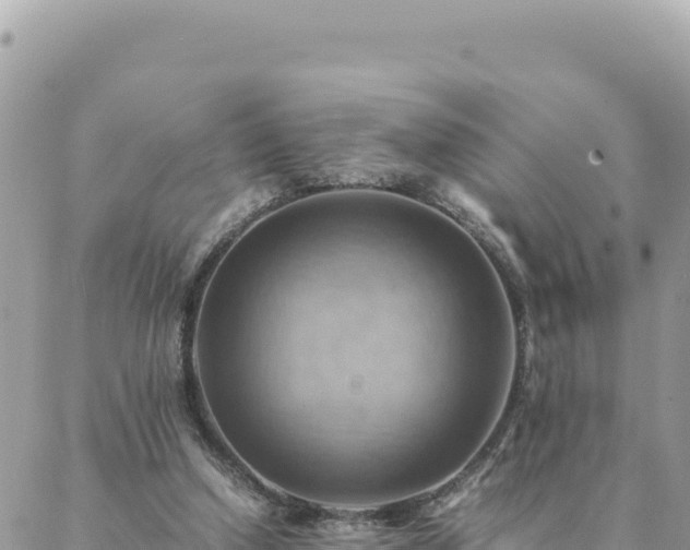 X0000088600250200706011210