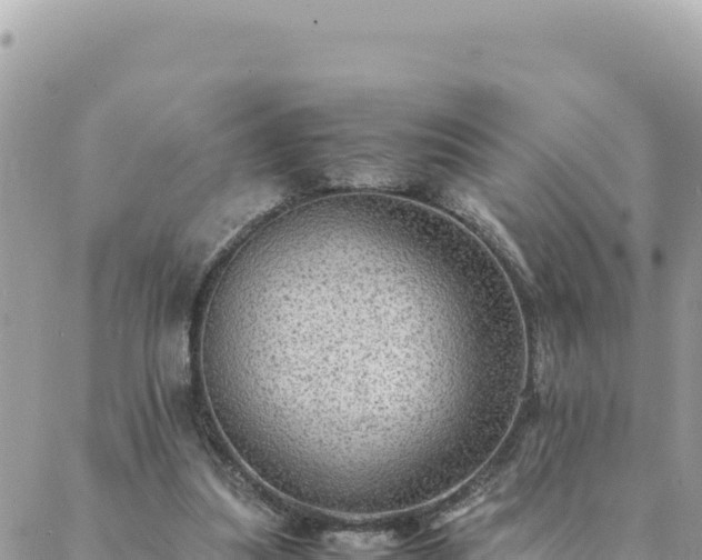 X0000088600251200706011210