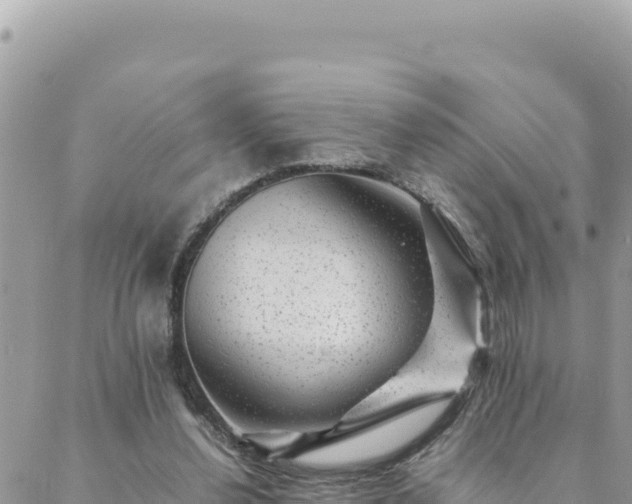 X0000088600252200706011210