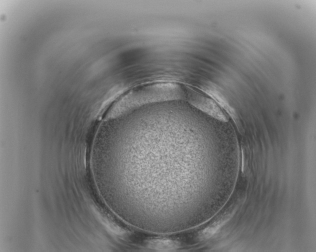 X0000088600253200706011210