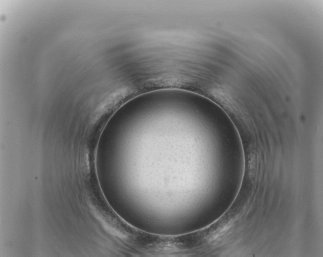 X0000088600254200706011210