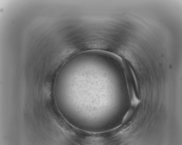 X0000088600255200706011210