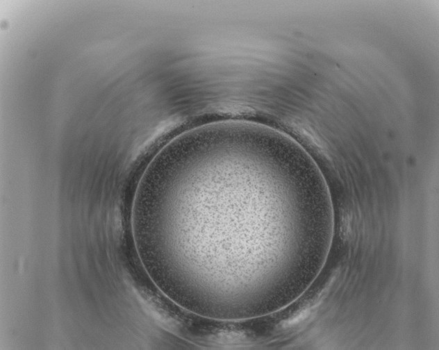 X0000088600256200706011210