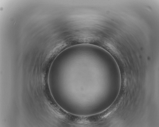 X0000088600258200706011210