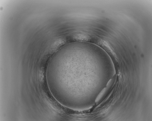 X0000088600259200706011210