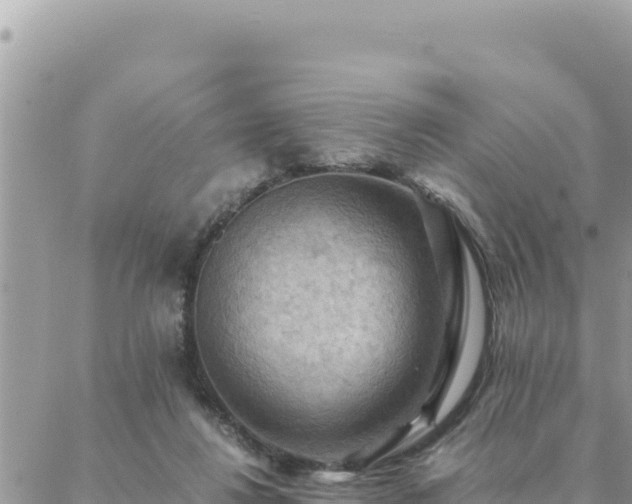 X0000088600260200706011210