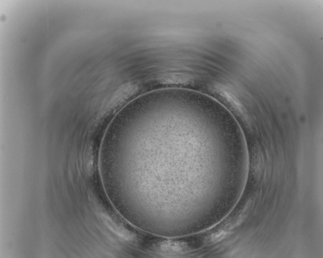 X0000088600261200706011210