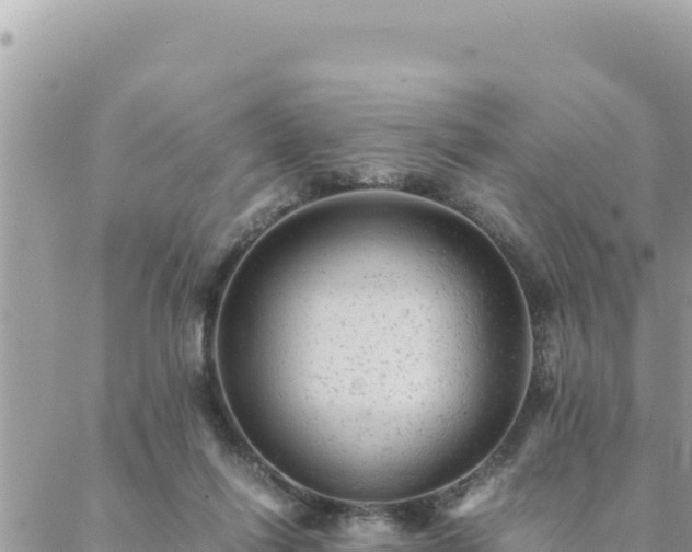 X0000088600262200706011210