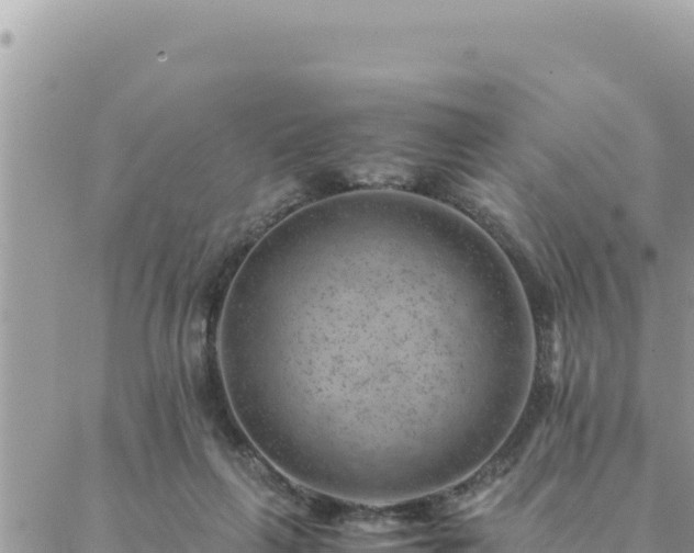 X0000088600263200706011210