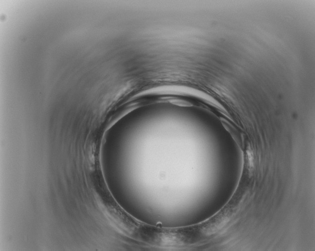 X0000088600264200706011210