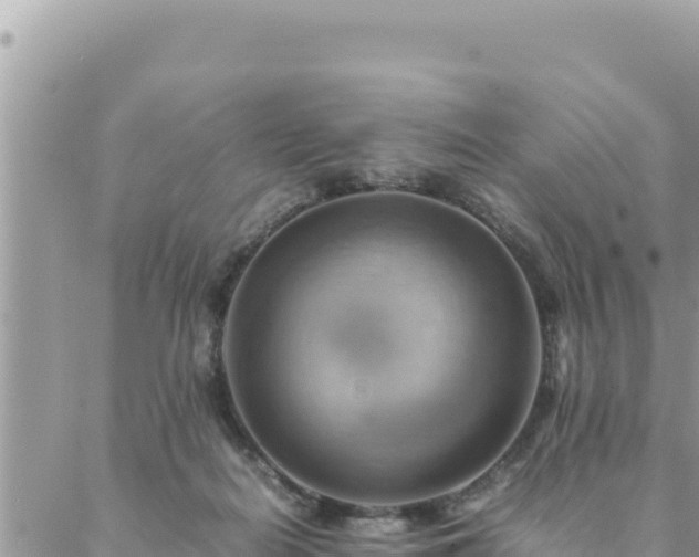 X0000088600266200706011210