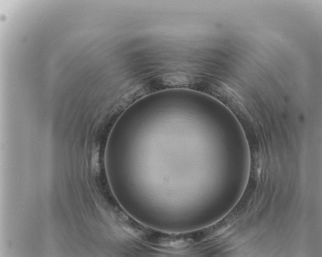 X0000088600267200706011210