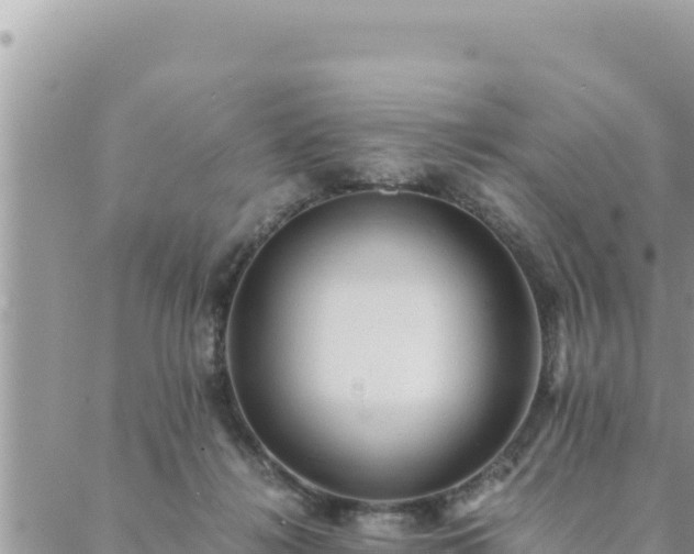 X0000088600268200706011210