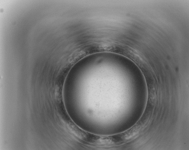 X0000088600270200706011210