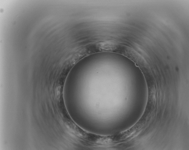 X0000088600271200706011210