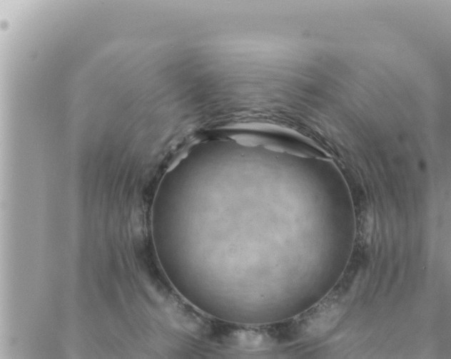 X0000088600272200706011210