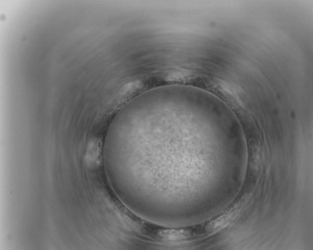 X0000088600273200706011210