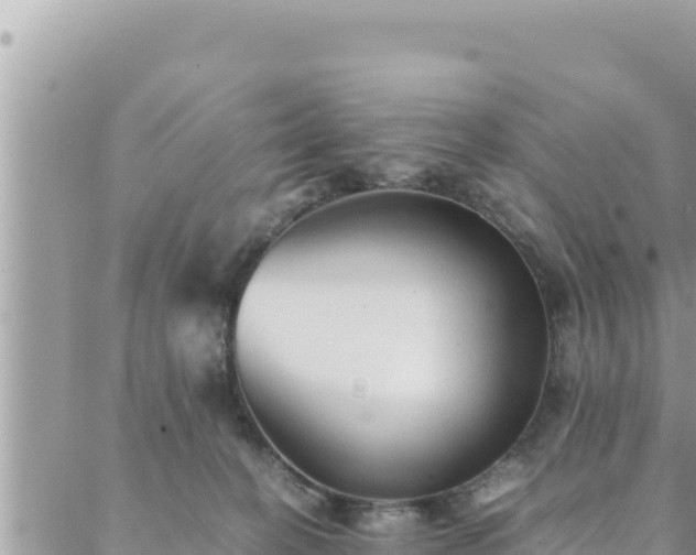 X0000088600274200706011210