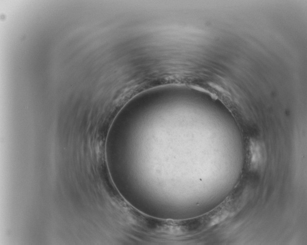 X0000088600276200706011210