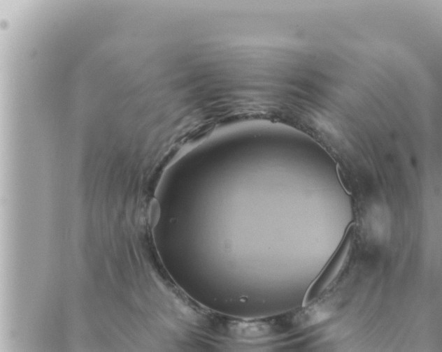 X0000088600277200706011210