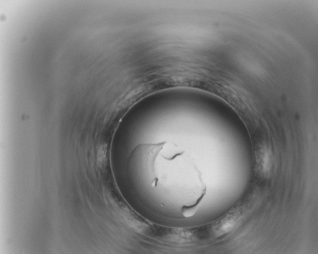 X0000088600278200706011210