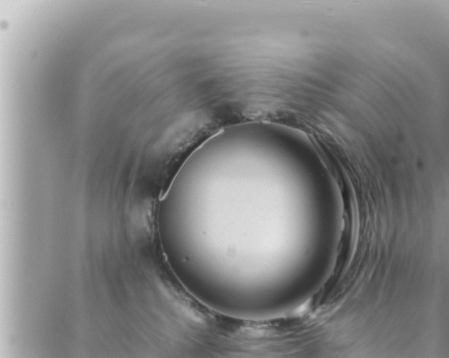 X0000088600280200706011210