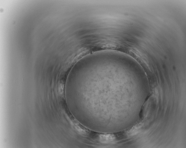 X0000088600281200706011210