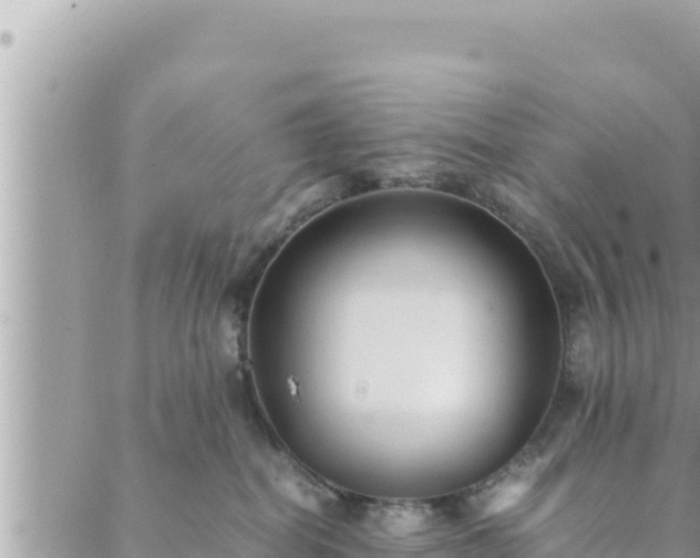 X0000088600282200706011210