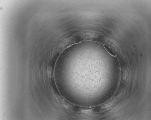 X0000088600283200706011210