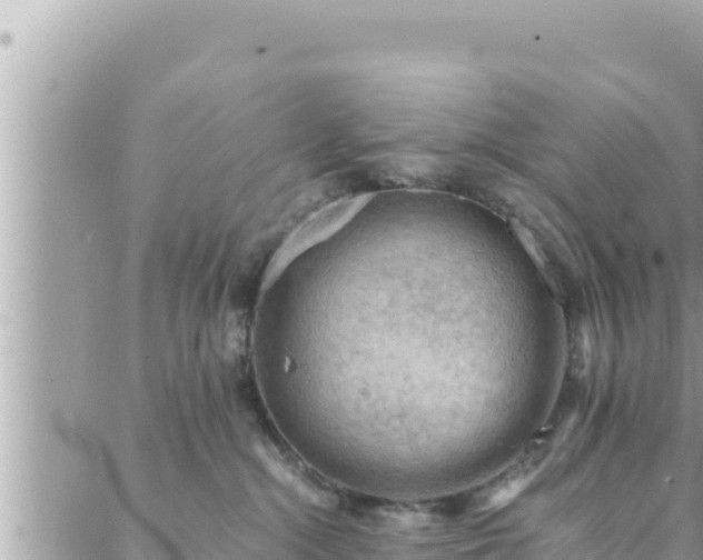 X0000088600284200706011210