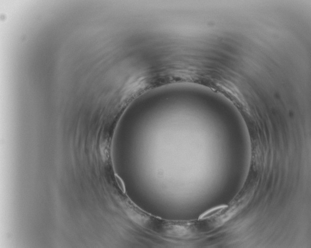 X0000088600285200706011210