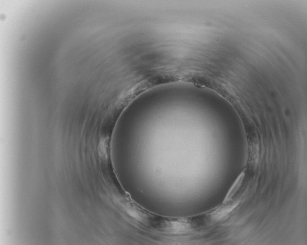 X0000088600286200706011210