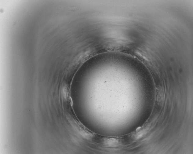 X0000088600287200706011210