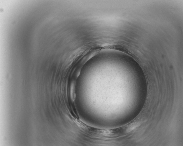 X0000088600288200706011210