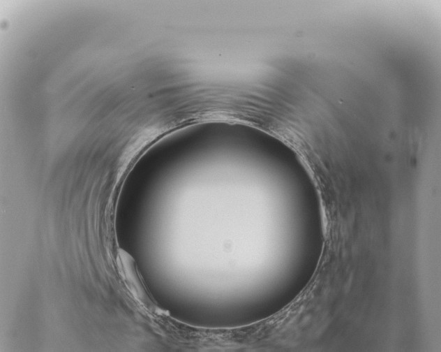 X0000088600289200706011209