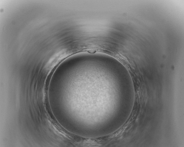 X0000088600290200706011209