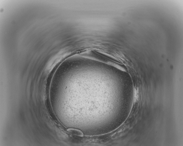 X0000088600291200706011209