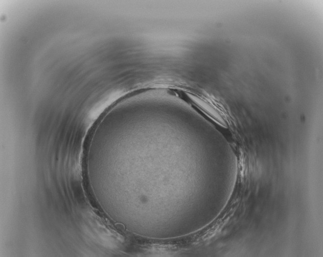 X0000088600292200706011209