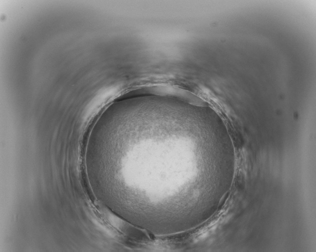 X0000088600293200706011209