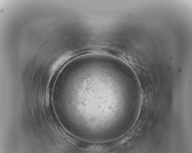 X0000088600294200706011209