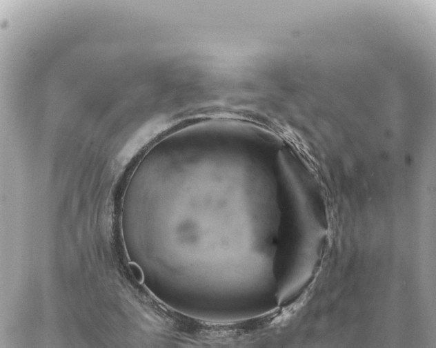 X0000088600295200706011209