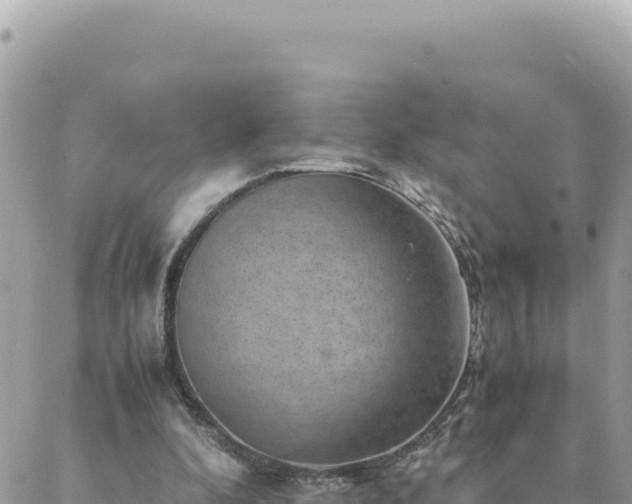 X0000088600296200706011209