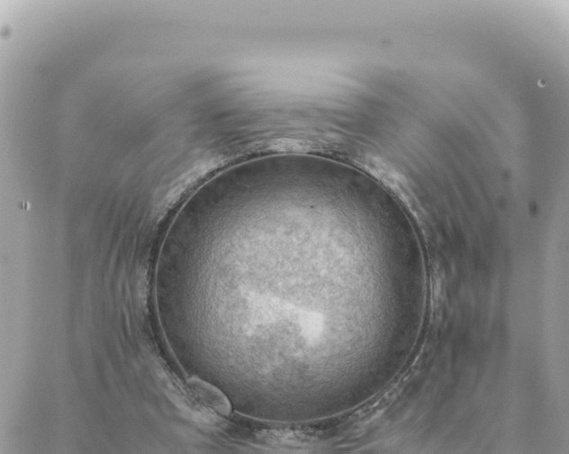 X0000088600297200706011209