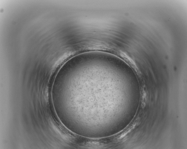 X0000088600298200706011209