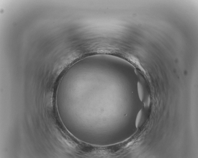 X0000088600299200706011209