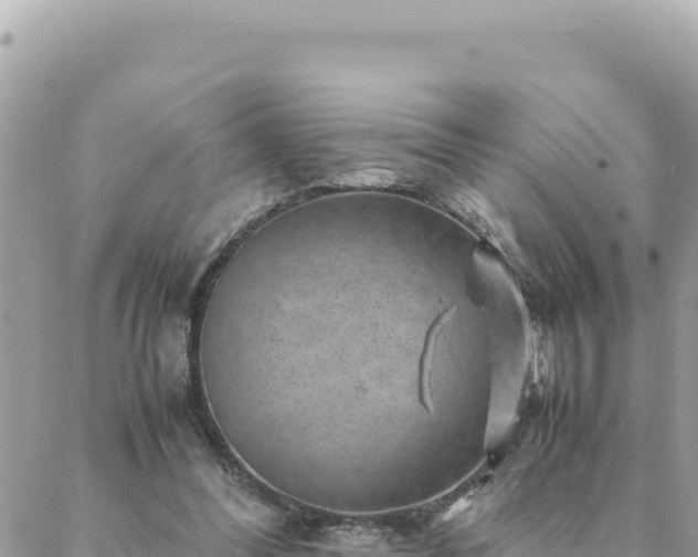 X0000088600300200706011209