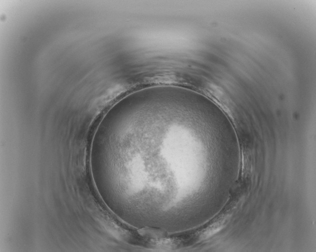 X0000088600301200706011209