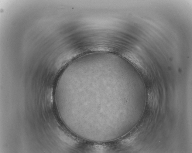 X0000088600302200706011209